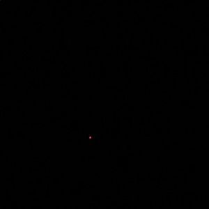 Meet your Posher, Alisa